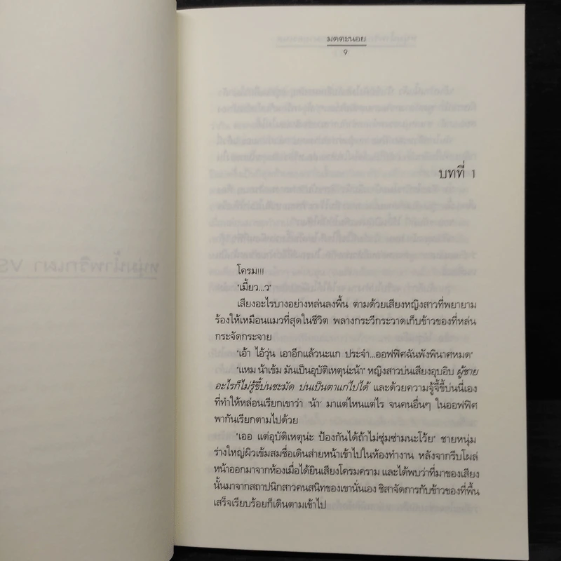หนุ่มน้ำพริกเผา VS สาวมายองเนส - มดตะนอย รูปที่ 6