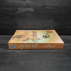 ลูกทาส - รพีพร รูปที่ 3