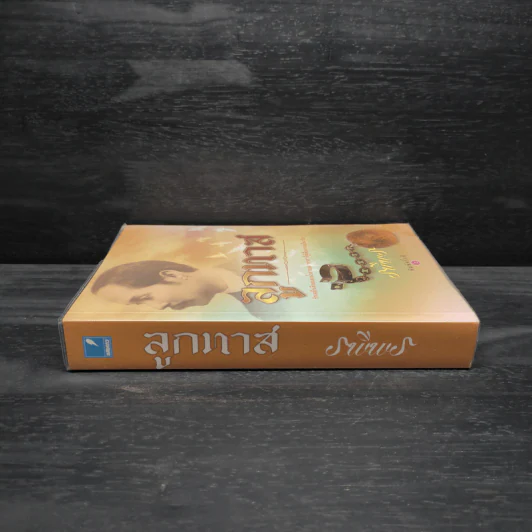 ลูกทาส - รพีพร รูปที่ 3