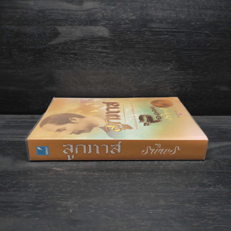 ลูกทาส - รพีพร รูปที่ 3