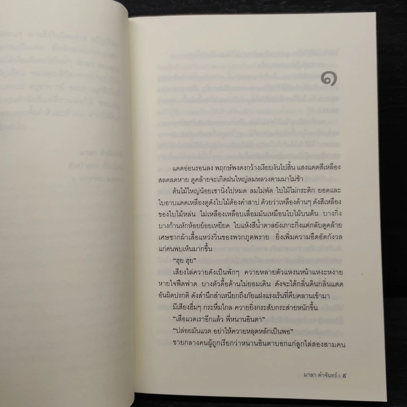 แสงหาญฟ้า - มาลา คำจันทร์ รูปที่ 6