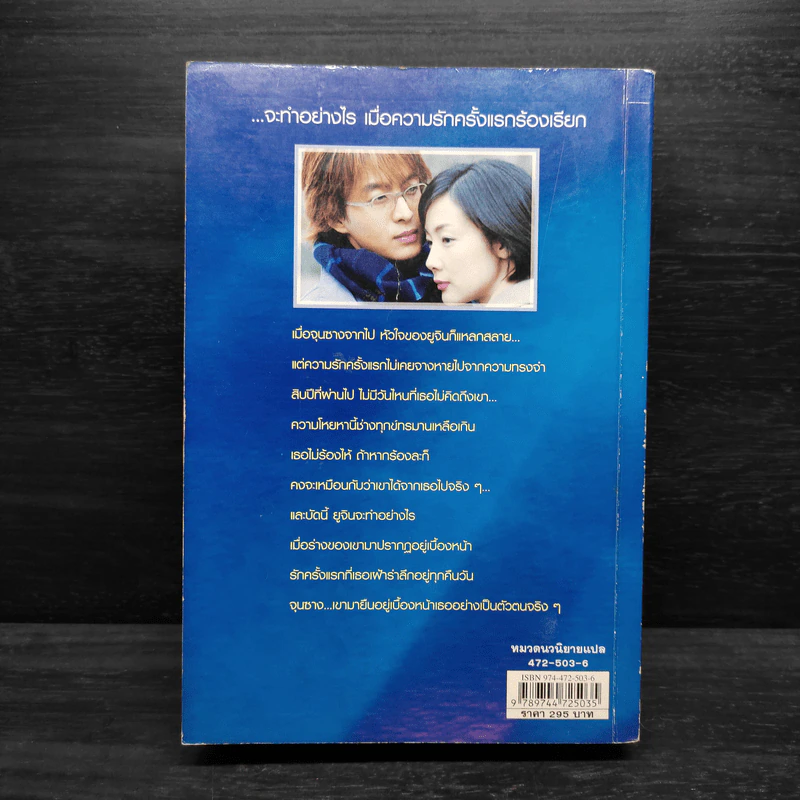 Winter Love Song เพลงรักในสายลมหนาว - คิมอุนฮีและยุนอุนกวง รูปที่ 2