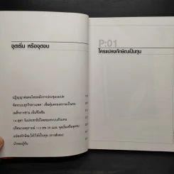 แปลงทักษิณเป็นทุน - ดร.เจิมศักดิ์ ปิ่นทอง รูปที่ 8