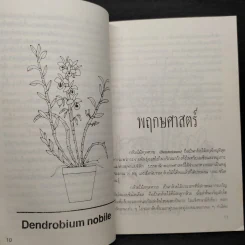 กล้วยไม้สกุลหวาย - บรรณ บูรณะชนบท รูปที่ 6