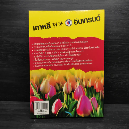 เกาหลีอินเทรนด์ รูปที่ 2