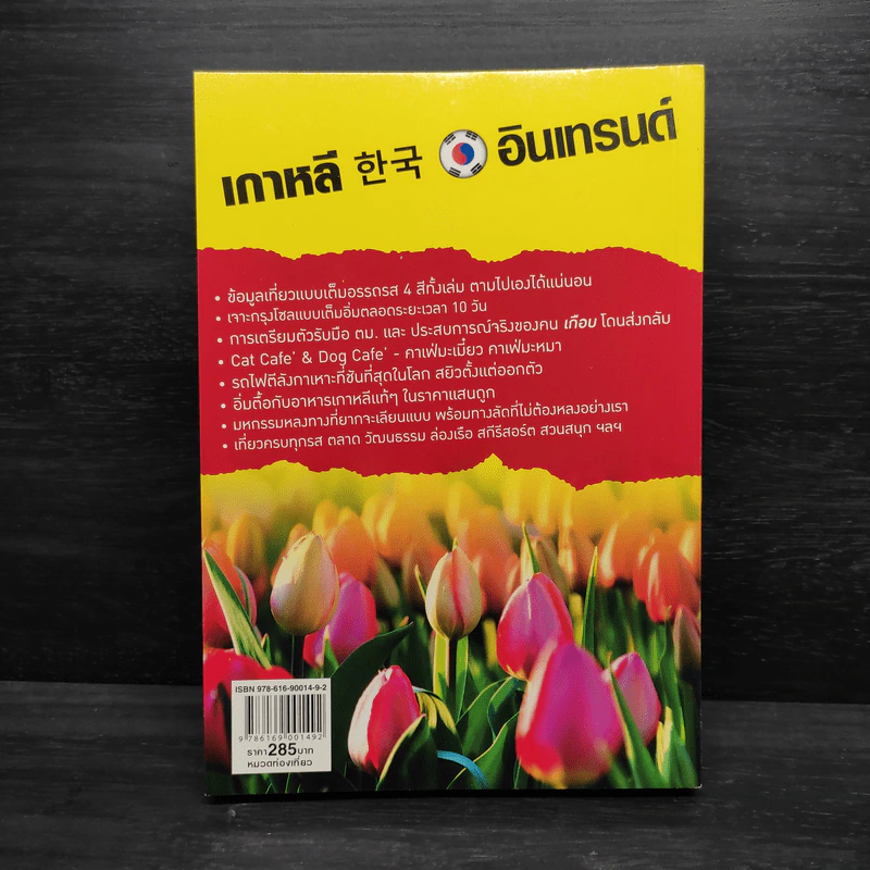 เกาหลีอินเทรนด์ รูปที่ 2