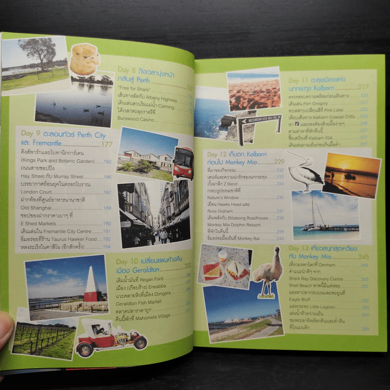 เที่ยวไม่ง้อทัวร์  ตีตั๋วตะลุยออสเตรเลีย (เวสเทิร์นออสเตรเลีย : เพิร์ท) รูปที่ 8