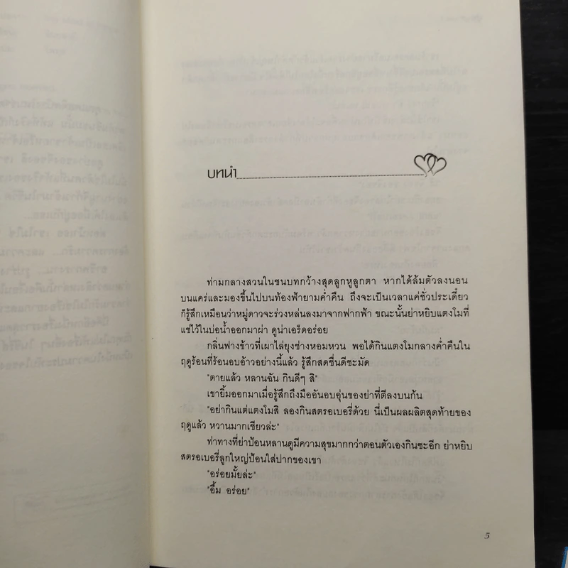 สาวใช้ตัวร้ายกับเจ้านายสุดแสบ 2 เล่มจบ - อิมยองมี รูปที่ 6