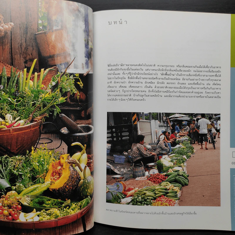 ผักพื้นบ้าน เล่ม 1-2 - อุไร จิรมงคลการ รูปที่ 7