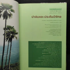 ปาล์มและปรงในป่าไทย - พูนศักดิ์ วัชรากร รูปที่ 6