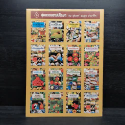 ชุดธรรมชาติศึกษา พืชสมุนไพร เล่ม 4 - สมสุข มัจฉาชีพ รูปที่ 2