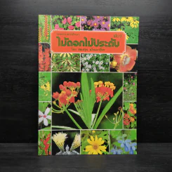 ชุดธรรมชาติศึกษา ไม้ดอกไม้ประดับ เล่ม 2 - สมสุข มัจฉาชีพ รูปที่ 1
