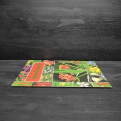 ชุดธรรมชาติศึกษา ไม้ดอกไม้ประดับ เล่ม 2 - สมสุข มัจฉาชีพ รูปที่ 3
