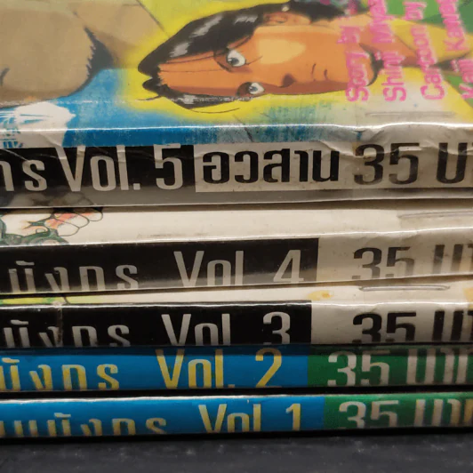 ลบเหลี่ยมมังกร 5 เล่มจบ รูปที่ 8