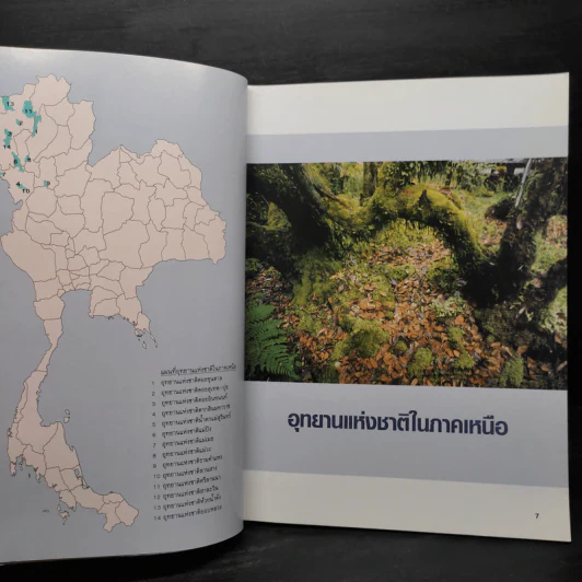 สมุนไพรในอุทยานแห่งชาติภาคเหนือ - พญ.เพ็ญนภา ทรัพย์เจริญ รูปที่ 7