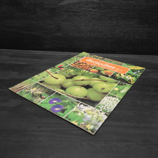 ชุดธรรมชาติศึกษา พืชสมุนไพร เล่ม 4 - สมสุข มัจฉาชีพ รูปที่ 4