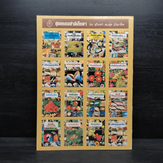 ชุดธรรมชาติศึกษา พืชสมุนไพร เล่ม 4 - สมสุข มัจฉาชีพ รูปที่ 2