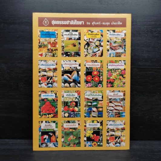 ชุดธรรมชาติศึกษา นกเมืองไทย เล่ม 2 - สุรินททร์ มัจฉาชีพ รูปที่ 2