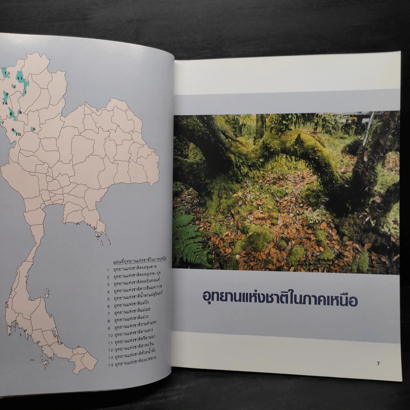 สมุนไพรในอุทยานแห่งชาติภาคเหนือ - พญ.เพ็ญนภา ทรัพย์เจริญ รูปที่ 7