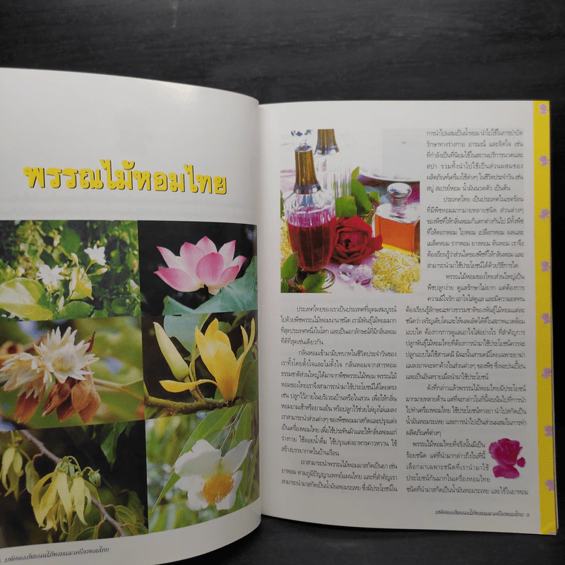 มหัศจรรย์พรรณไม้หอมและเครื่องหอมไทย รูปที่ 6