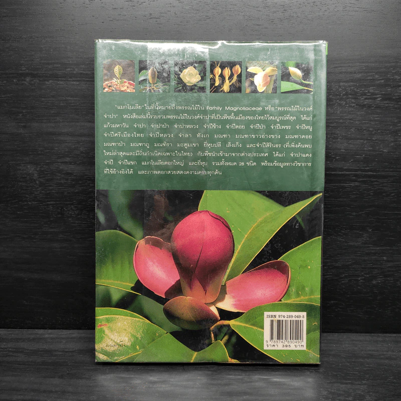 แมกโนเลียเมืองไทย Thai Magnoliaceae - ดร.ปิยะ เฉลิมกลิ่น รูปที่ 2
