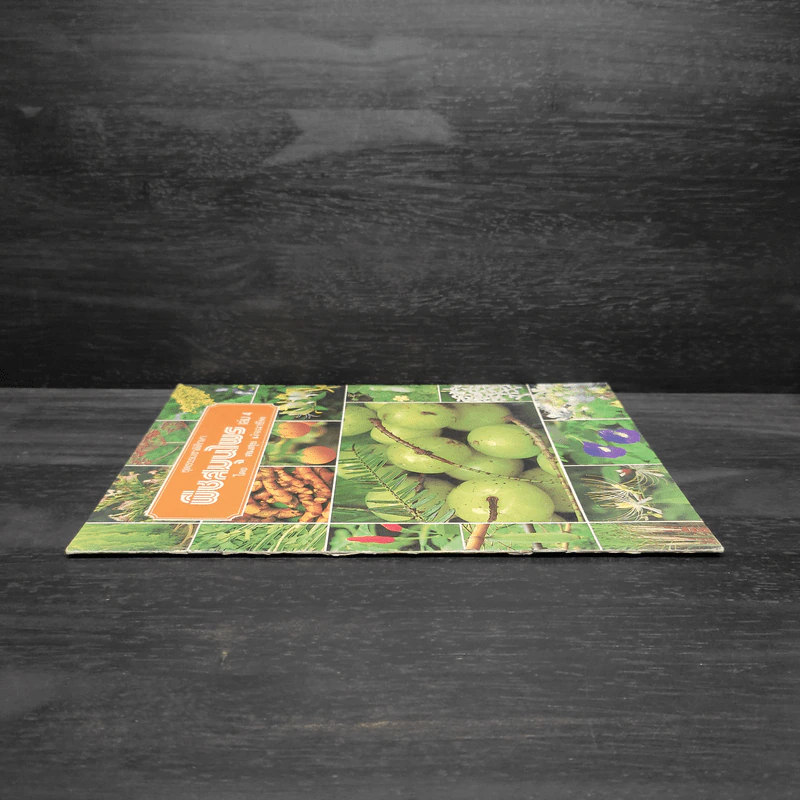 ชุดธรรมชาติศึกษา พืชสมุนไพร เล่ม 4 - สมสุข มัจฉาชีพ รูปที่ 3