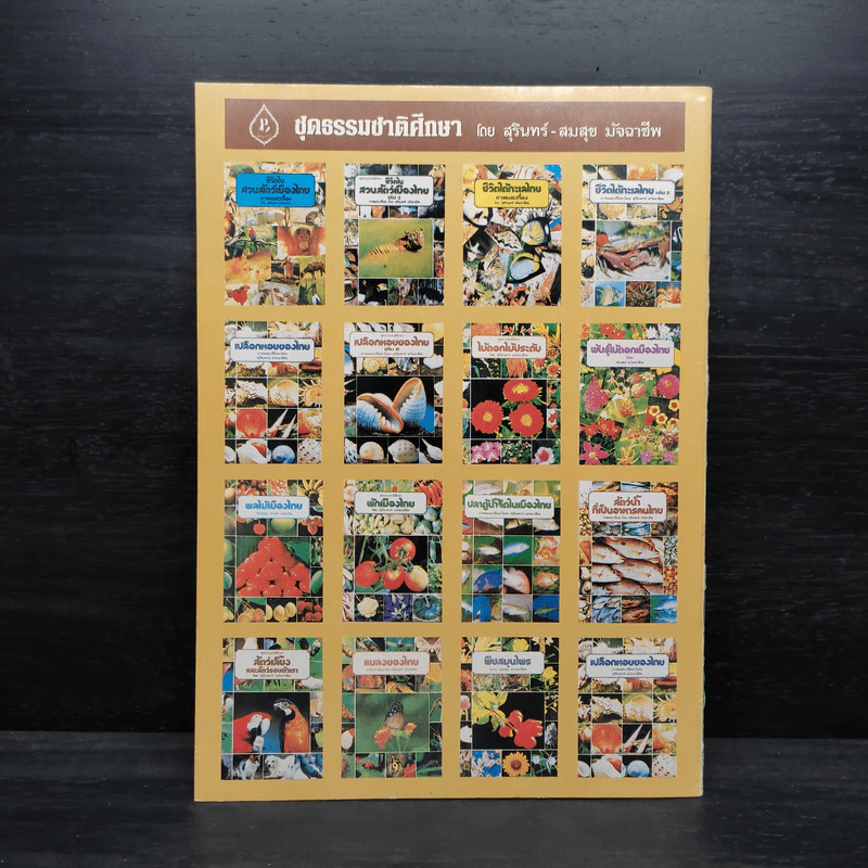 ชุดธรรมชาติศึกษา พืชสมุนไพร เล่ม 4 - สมสุข มัจฉาชีพ รูปที่ 2