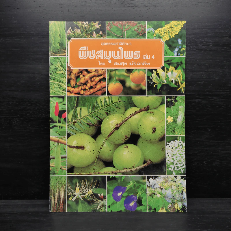 ชุดธรรมชาติศึกษา พืชสมุนไพร เล่ม 4 - สมสุข มัจฉาชีพ รูปที่ 1