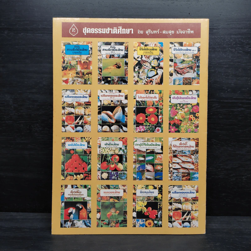ชุดธรรมชาติศึกษา พืชสมุนไพร เล่ม 4 - สมสุข มัจฉาชีพ รูปที่ 2