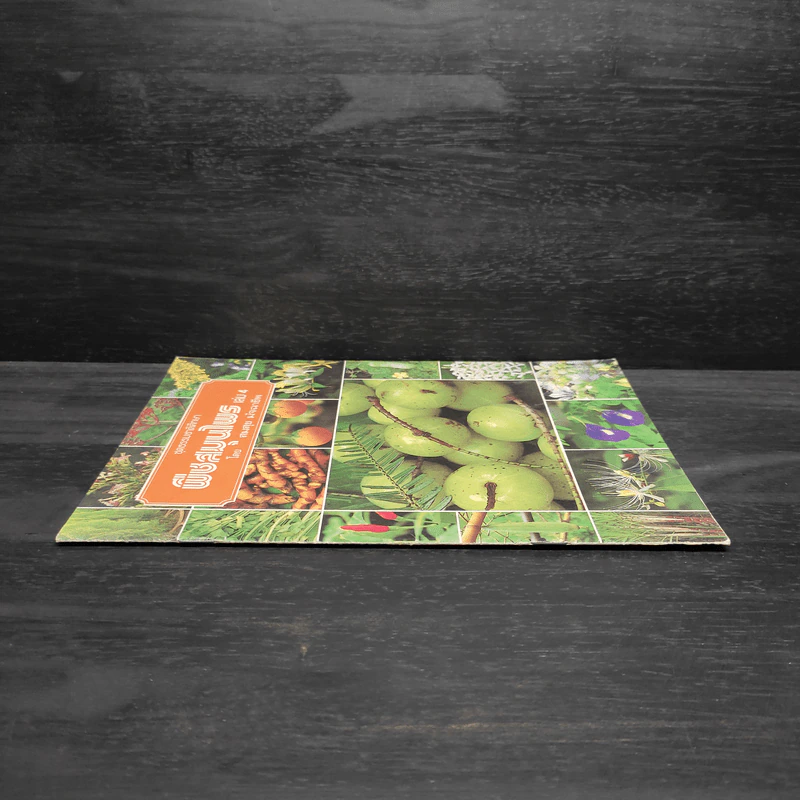 ชุดธรรมชาติศึกษา พืชสมุนไพร เล่ม 4 - สมสุข มัจฉาชีพ รูปที่ 3