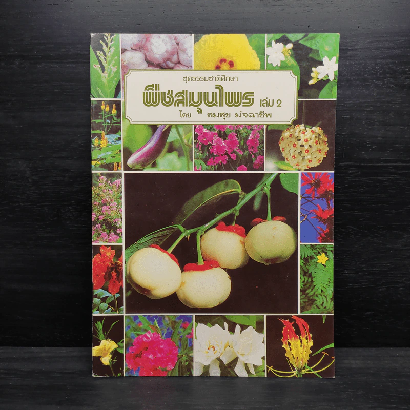 ชุดธรรมชาติศึกษา พืชสมุนไพร เล่ม 2 - สมสุข มัจฉาชีพ รูปที่ 1
