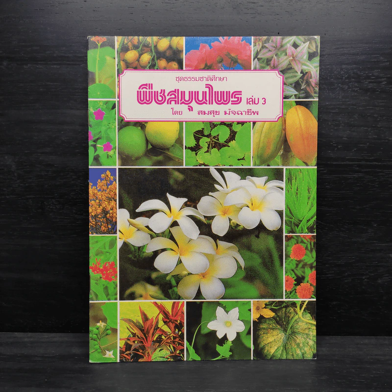 ชุดธรรมชาติศึกษา พืชสมุนไพร เล่ม 3 - สมสุข มัจฉาชีพ รูปที่ 1