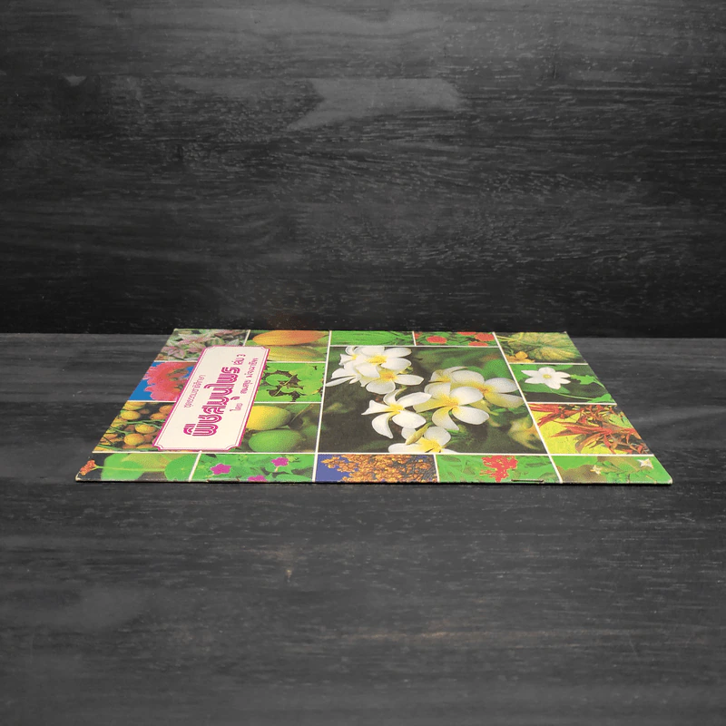 ชุดธรรมชาติศึกษา พืชสมุนไพร เล่ม 3 - สมสุข มัจฉาชีพ รูปที่ 3