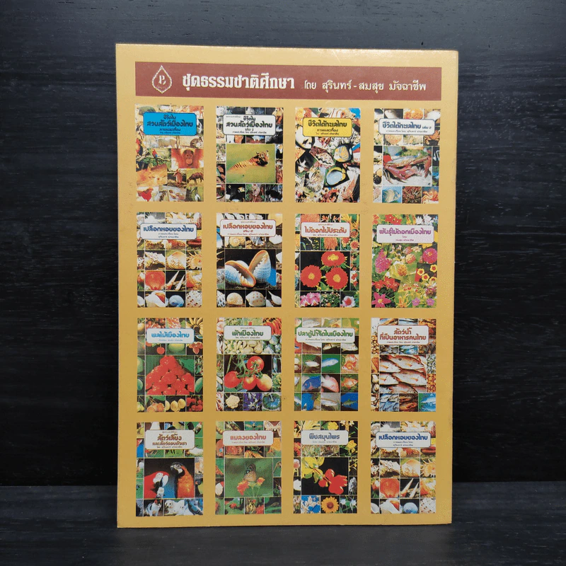 ชุดธรรมชาติศึกษา พืชสมุนไพร เล่ม 3 - สมสุข มัจฉาชีพ รูปที่ 2