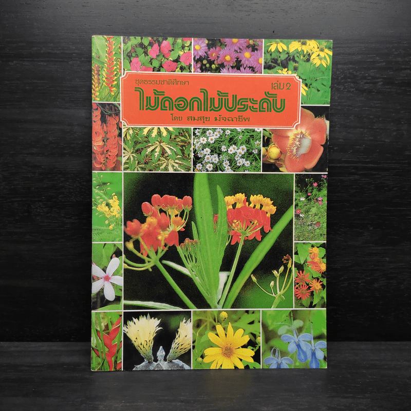 ชุดธรรมชาติศึกษา ไม้ดอกไม้ประดับ เล่ม 2 - สมสุข มัจฉาชีพ รูปที่ 1
