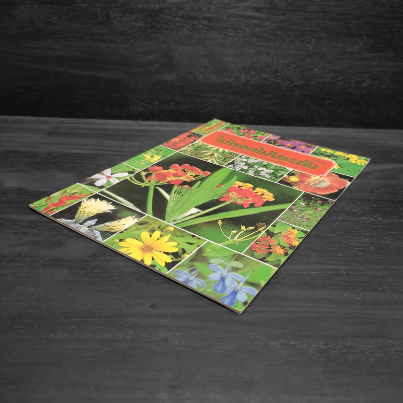 ชุดธรรมชาติศึกษา ไม้ดอกไม้ประดับ เล่ม 2 - สมสุข มัจฉาชีพ รูปที่ 4