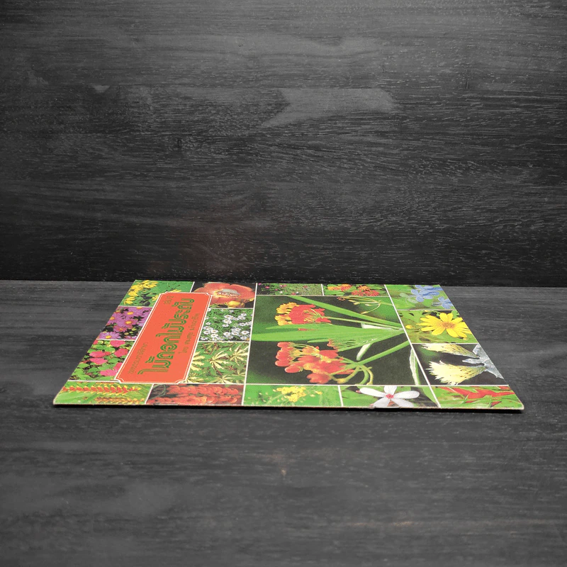 ชุดธรรมชาติศึกษา ไม้ดอกไม้ประดับ เล่ม 2 - สมสุข มัจฉาชีพ รูปที่ 3