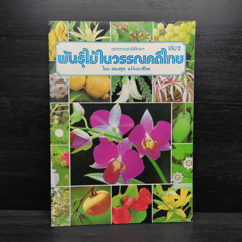 ชุดธรรมชาติศึกษา พันธุ์ไม้ในวรรณคดีไทย เล่ม 2 - สมสุข มัจฉาชีพ รูปที่ 1