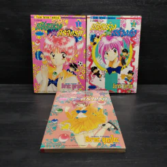 เปลี่ยนร่างสร้างรัก 3 เล่มจบ รูปที่ 1