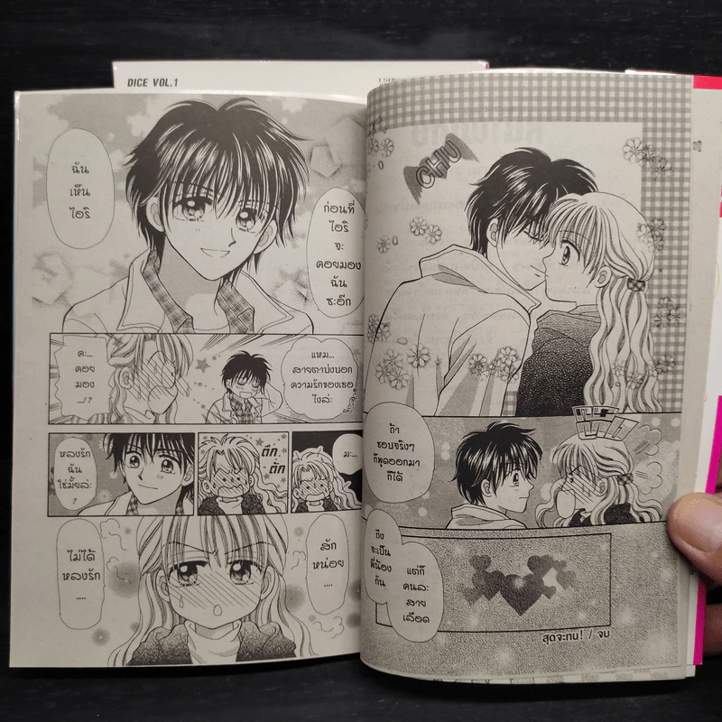 Dice เดิมพันพนันหัวใจ 2 เล่มจบ รูปที่ 7