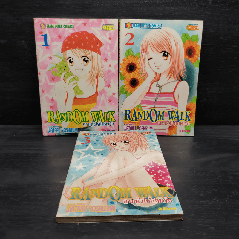 Random Walk ตามหัวใจไปหารัก 3 เล่มจบ รูปที่ 1
