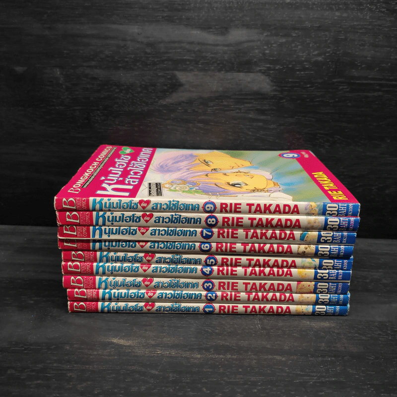 หนุ่มไฮโซกับสาวใช้ไฮเทค 9 เล่มจบ รูปที่ 2