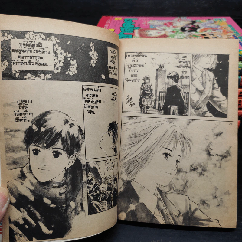 คิ้วหนาซ่าสุดๆ 12 เล่มจบ รูปที่ 6