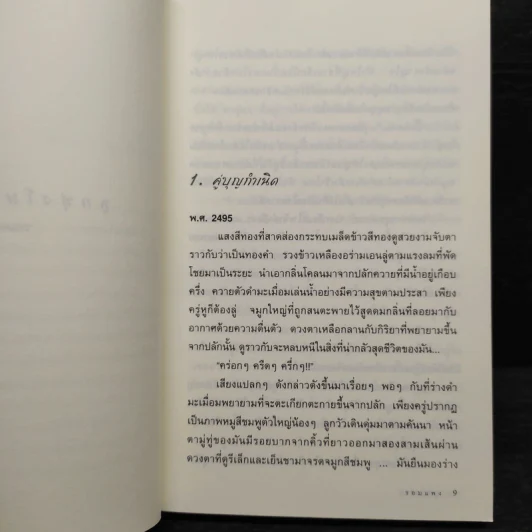 ลูกทุ่งโมดิฟายด์ - รอมแพง รูปที่ 6