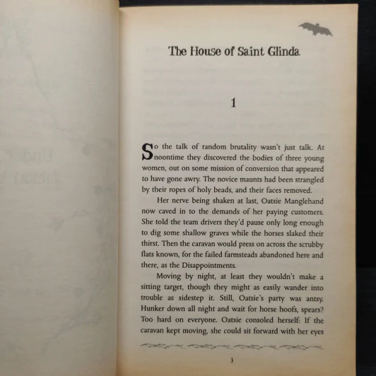Son of a Witch - Gregory Maguire รูปที่ 8
