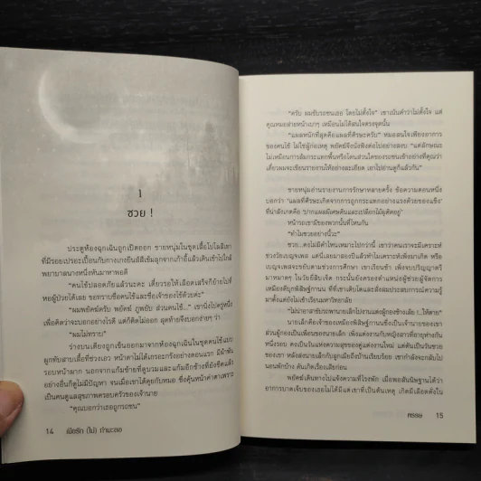 เมียรัก(ไม่)กำมะลอ - พรรษ รูปที่ 7