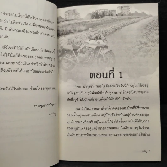 หลงลืมตัวตาย - อารัญ รูปที่ 6