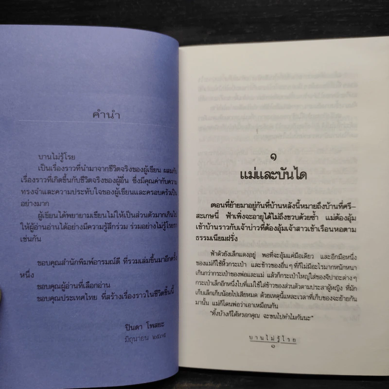 บานไม่รู้โรย - ปินดา โพสยะ รูปที่ 6