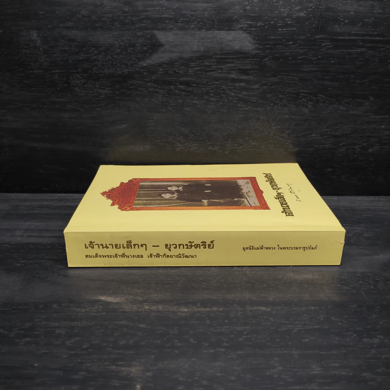 เจ้านายเล็กๆ ยุวกษัตริย์ - กัลยาณิวัฒนา รูปที่ 3