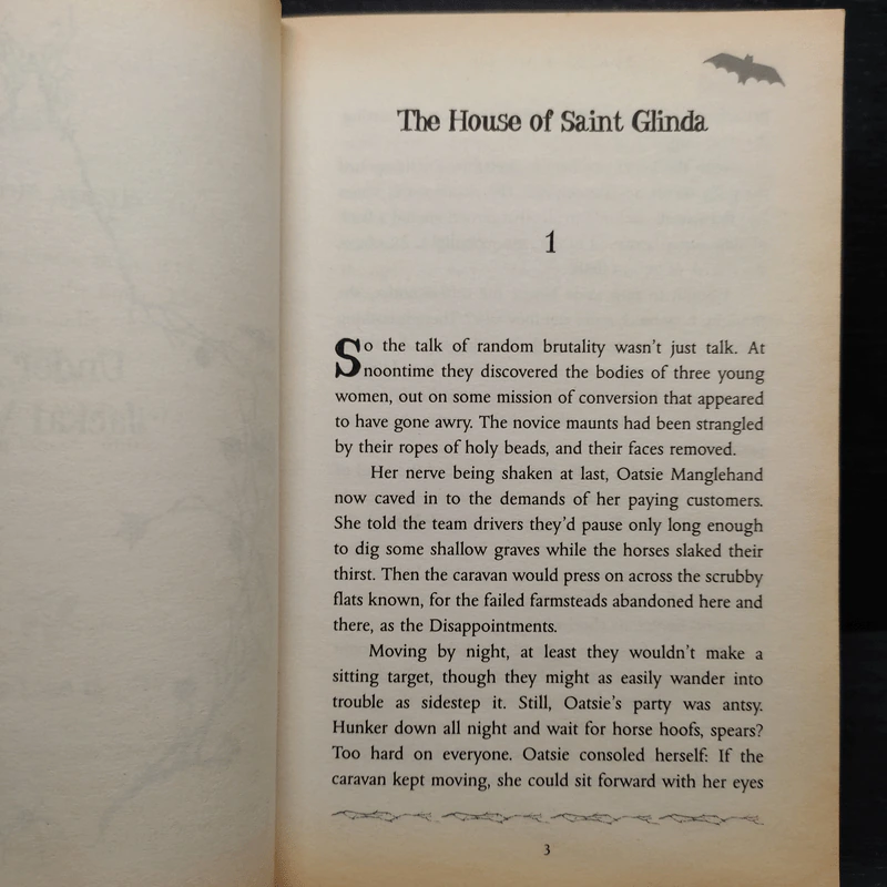 Son of a Witch - Gregory Maguire รูปที่ 8